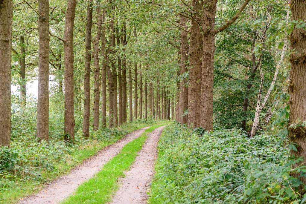 Prachtig Vrijstaand Familiehuis Op Groot Perceel Scherpenzeel  Esterno foto