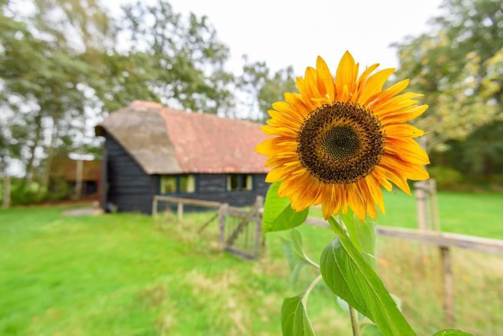 Prachtig Vrijstaand Familiehuis Op Groot Perceel Scherpenzeel  Esterno foto